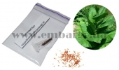 Семена табака «Silk Leaf» og-032