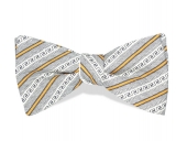 Краватка-метелик Churchill "Консерватор" Ch607/617