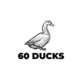 60 Ducks