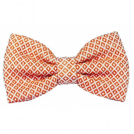 Краватка-метелик Fox&Button "Sunny" FB510004