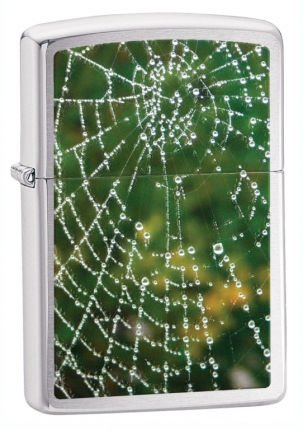 Запальничка Zippo Spider Web Rain Drops i028285