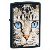 Запальничка Zippo Blue Eyed Cat i028040