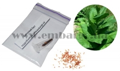 Семена табака «Silk Leaf»