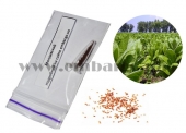 Семена табака «Молдавский» og-011