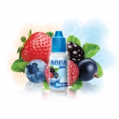 Жидкость для заправки картриджей AQUA Forest Berry, 15 мл AQ10012